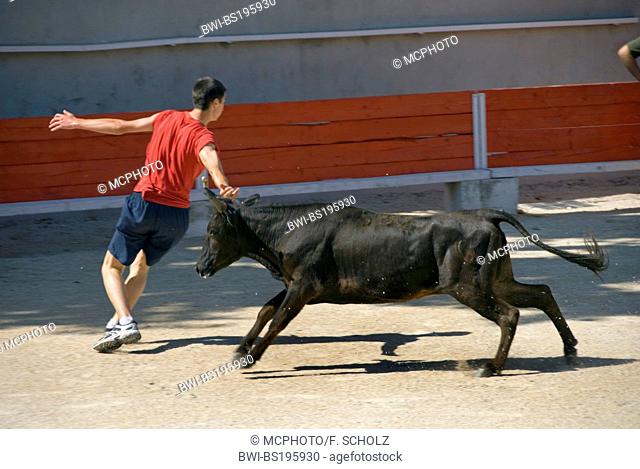 bullring Arenes Albert Laty, bullfight with teens, Plan d'Orgon, France, Provence