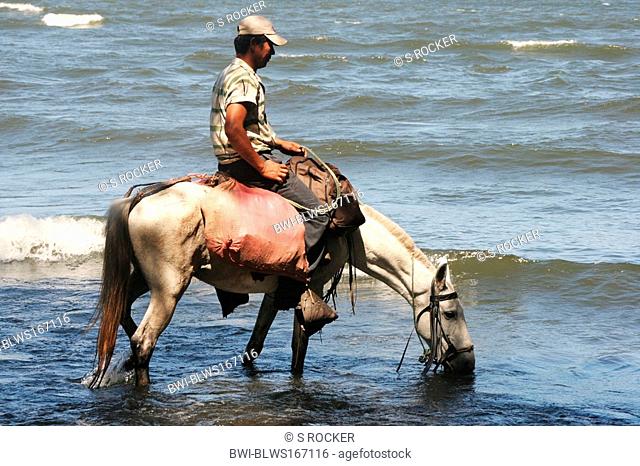 Farmer gives his horse a chance to drink water on Ometepe Island in Lake Nicaragua, Nicaragua, Ometepe
