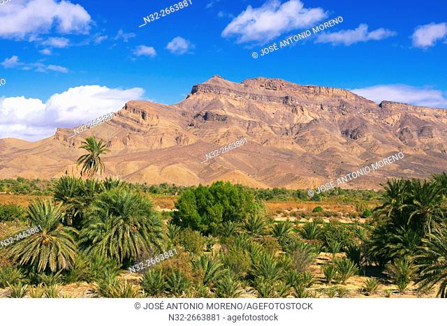 Djebel Kissane, Palm Grove, Oasis, Draa Valley, Souss-Massa-Draa region, Valley of the Draa river, Anti Atlas, Morocco, Maghreb, North Africa