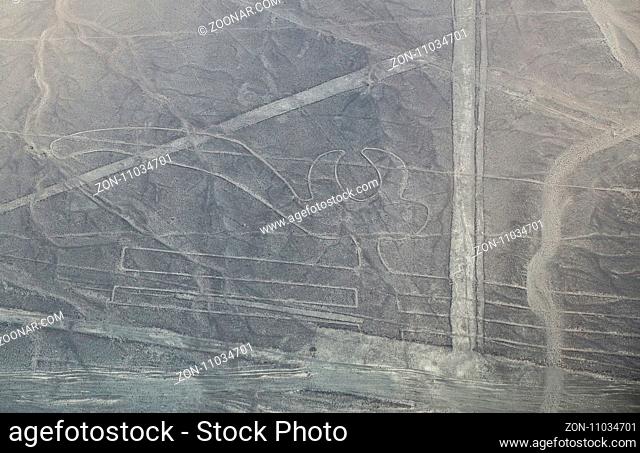 Aerial view of Nazca Lines - Parrot geoglyph, Peru. The Lines were designated as a UNESCO World Heritage Site in 1994