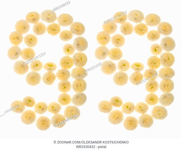 Arabic numeral 99, ninety nine, from cream flowers of chrysanthemum, isolated on white background