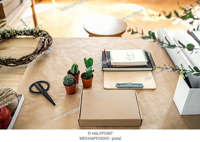 Cacti and accessories on table