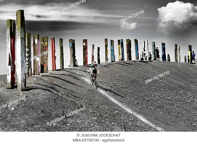 Dump Haniel, installation 'Totems' by the Basque painter Agustin Ibarrola, work of art made of 100 railway sleepers, mountain biker, Bottrop, Ruhr area