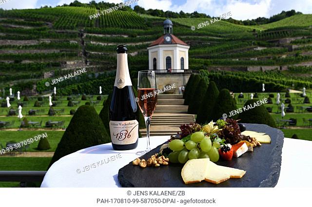 A bottle of sparkling wine, a glass with sparkling wine and a cheese platter pictured on a table at the Schloss Wackerbarth vineyards in front of the Belvedere...