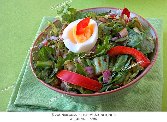 Salat aus Endivien, Frisee, Radicchio und rotem Paprika mit roten Zwiebeln und Ei, angemacht mit Aceto balsamico di Modena und Olivenöl