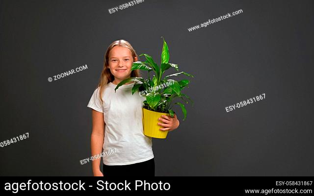 Little girl holding a flower plant in yellow color pot in her hands. Girl wearing white t shirt smiling at camera. Isolated on dark grey or black background