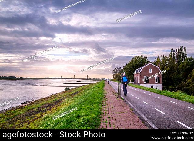 Middleaged man walking along river Waal near Zaltbommel in the Netherlands