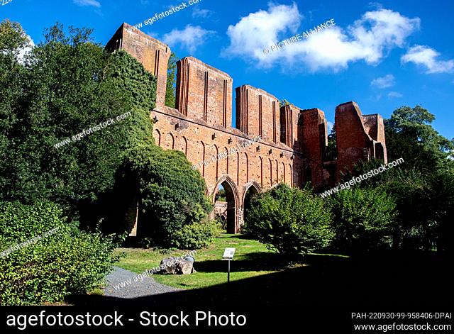 30 September 2022, Lower Saxony, Hude: The historic monastery ruins of Hude stand in sunny autumn weather and blue skies in a park on the outskirts of the...