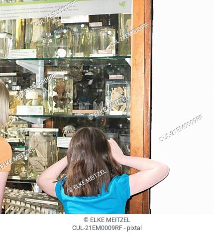 Girl looking at glass display cabinet
