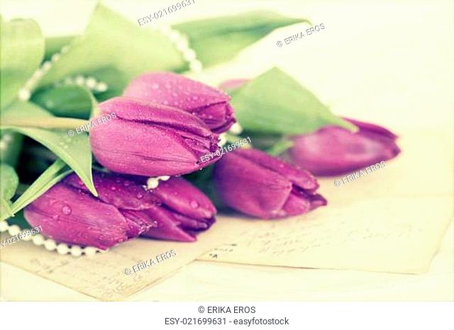 Old love letters and purple tulips