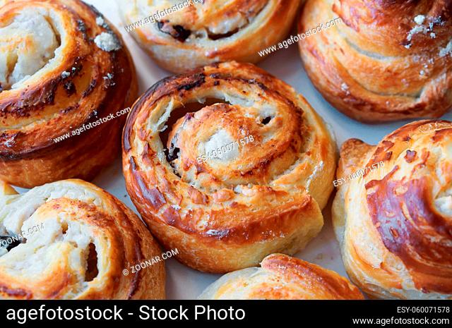 round rolls with cottage cheese, sweet pastries with cream