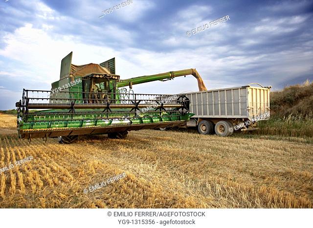 Combine-harvester on a field of wheat downloading wheat into a tow