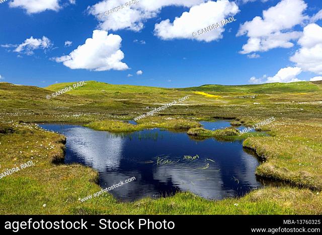 small lake at Skellister, Nesting, Mainland, Scotland, Shetland Islands