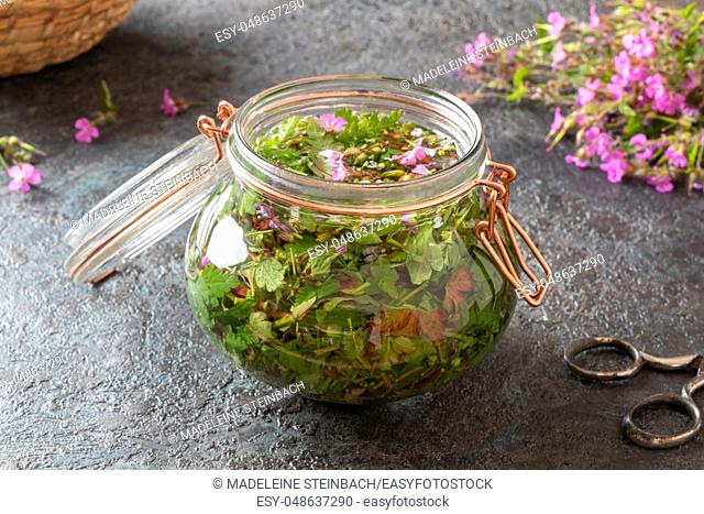 Preparation of homemade tincture from fresh herb-Robert, top view