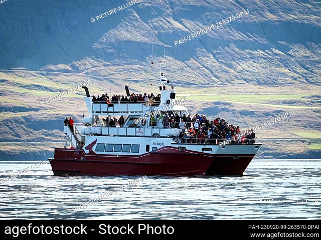 20 August 2023, Iceland, Akureyri: The ship ""Holmasol"" with tourists on board sails in the Eyjafjördur fjord against the backdrop of a treeless landscape for...