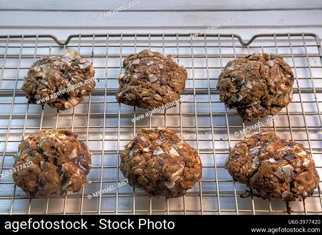 Side view of chocolate, coconut oatmeal cookies on wire coolong rack