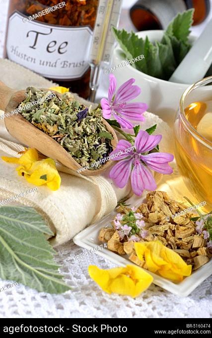 Cough-breast tea, marshmallow leaves (Althaea officinalis) marshmallow root, liquorice root (Glycyrrhiza glabra), thyme, lungwort, star anise fruit