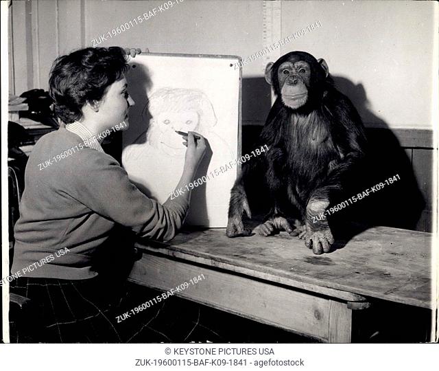 1959 - The Chimp Loves Modelling.: Sally The Chimp Loves Modelling: A Perfect posser, Sally sits for artist Marion Latter No Paid Sitter could behave better -...