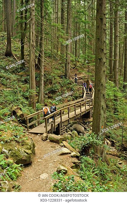Baden Powell Trail near Deep Cove, North Vancouver, British Columbia, Canada