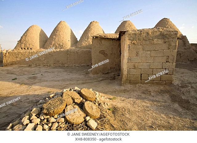 Traditional mud brick 'beehive' houses and cow dung patties used for fuel in winter, Harran, Anatolia, Turkey