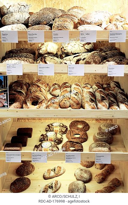 Different kinds of coarse rye bread in rack, bread loaves