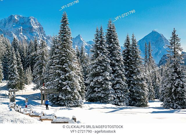 Winter view of Sorapis and Antelao. Passo Falzarego, Veneto, Italy