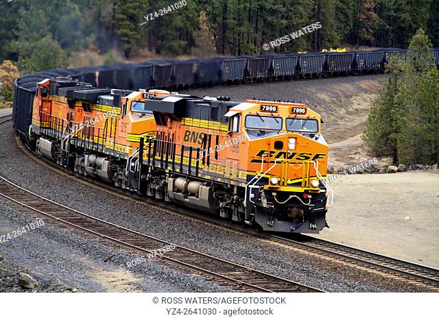 BNSF coal train at Scribner Siding, Marshall, Washington, USA