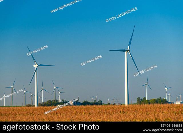 A field of large wind turbines in Dexter Minnesota, USA