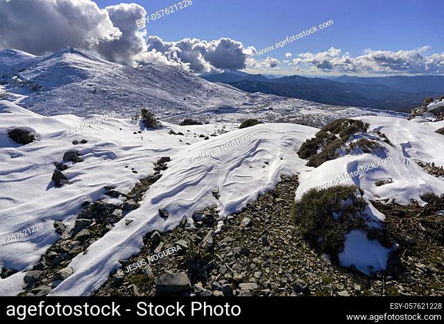 snowfall in the Sierra de las Nieves national park in Malaga. Andalusia, Spain