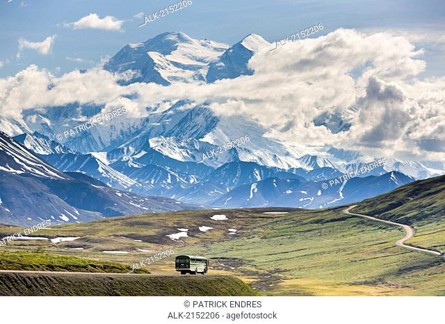 Tour Bus Travels On The Park Road With The North Summit Of Mt. Mckinley Visible And Towering Over The Landscape, Denali National Park, Alaska