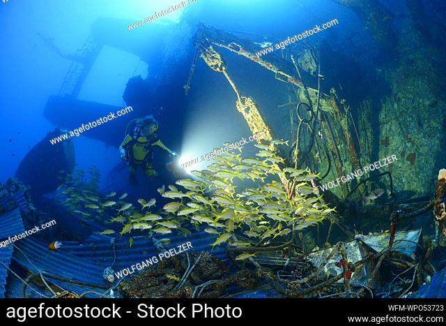 Scuba Diver at Salem Express Shipwreck, Safaga, Red Sea, Egypt