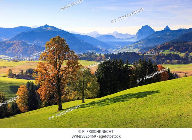 Alps of Central Switzerland with Mythen, Switzerland, Einsiedeln