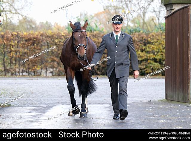 PRODUCTION - 16 November 2023, Saxony, Moritzburg: Phil Teifel, stud keeper at Moritzburg State Stud, walks to the stables at the New Stud during a photo...