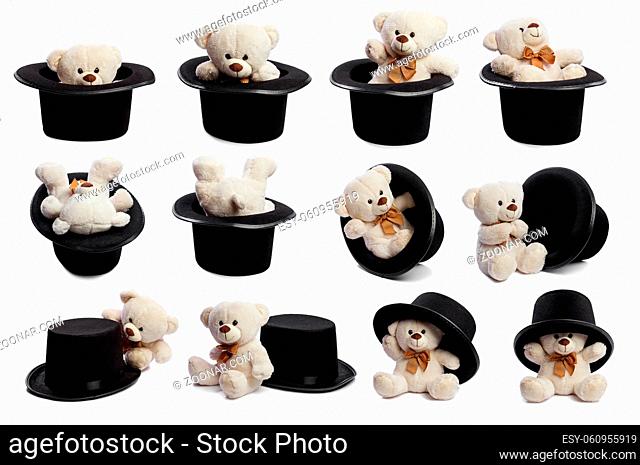 Set of isolated teddy bear with a giant black hat or cilinder