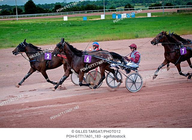 France, Lower Normandy, Calvados, Lisieux, race of the tresorerie, trot races / trotting, Sunday 8 June 2014, Photo Gilles Targat