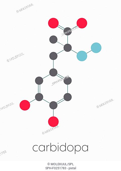 Carbidopa Parkinson's Disease drug. Prevents peripheral breakdown of levodopa, allowing more L-DOPA to reach the brain. Stylized skeletal formula (chemical...
