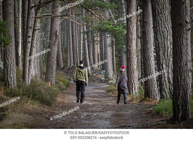 pareja caminando en la senda, bosque de Rothiemurchus, Loch an Eilein, Parque Nacional de Cairngorms, Highlands, Escocia, Reino Unido