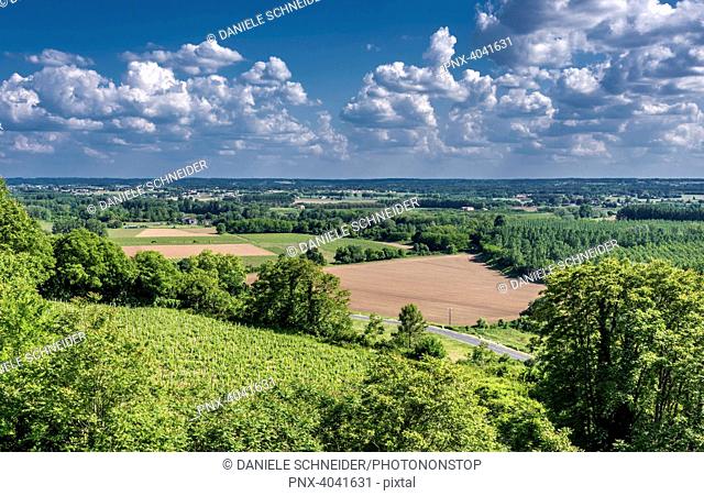 France, Gironde, Sainte-Croix-du-Mont, countryside of the Garonne valley seen from Tastes castle