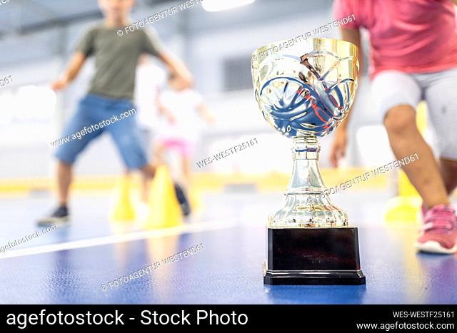 Metallic trophy cup with students in background at school sports court