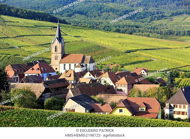 France, Haut Rhin, Route des Vins d'Alsace, Rodern, the village and the vineyard around