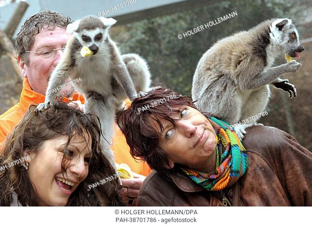 Patient Manuela Staffhorst (R) feeds ring-tailed lemurs with therapist Daniela Feyerabend (L) at Serengeti Park near Hodenhagen, Germany, 10 April 2013