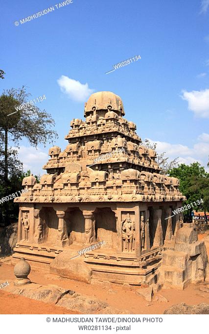 Dharmaraja Ratha and Pancha Rathas carved Monolith rock carving temples , Mahabalipuram , District Chengalpattu , Tamil Nadu , India UNESCO World Heritage Site
