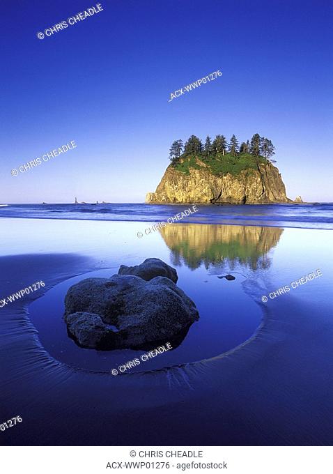 USA, Washington State, Olympic National Park, rock in sand on Shi Shi Beach with sea stacks