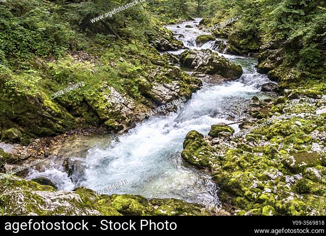 Rapids in the upper Vintgar Gorge, Slovenia