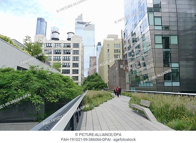 08 September 2019, US, New York: High Line Park in New York City. The High Line Park is a preserved but no longer used elevated railway line in the west of...