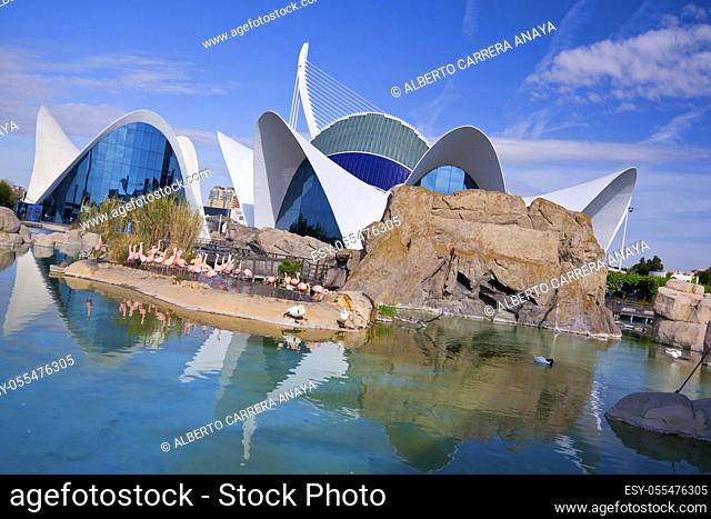 Oceanographic, City of Arts and Sciences, Valencia Comunity, Valencia, Spain, Europe