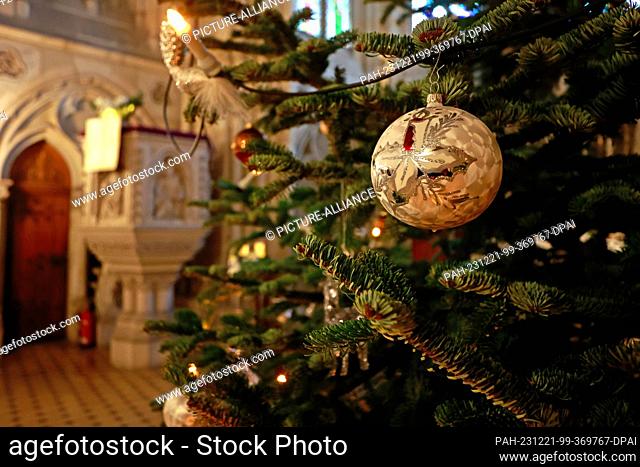 20 December 2023, Saxony-Anhalt, Wernigerode: A decorated Christmas tree stands in the castle chapel of Wernigerode Castle