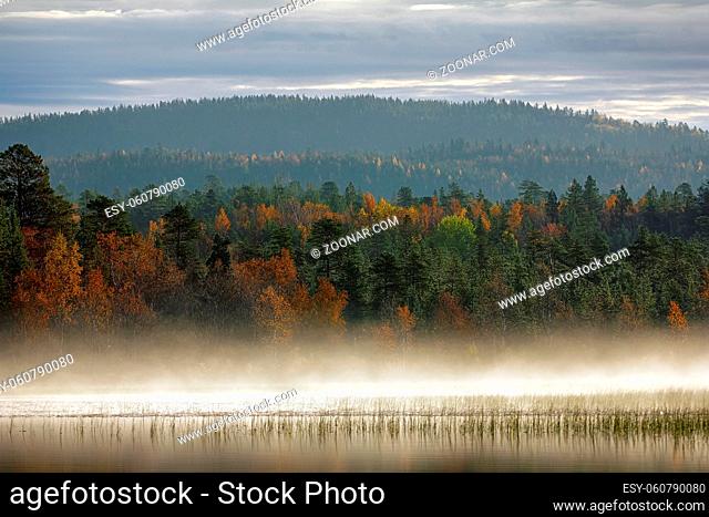 Gorgeous landscape. Charming magnetic river fog in early morning of autumn day. Misty veil on bank of forest river, yellow foliage of birch trees and clear...