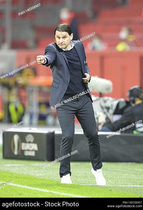 coach Gerardo SEOANE (Bern) gesture, gesture, football Europa League, sixteenth finals return game, Bayer 04 Leverkusen (LEV) - Young Boys Bern 0: 2