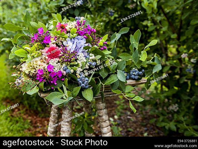 A bouquet of flowers in a garden setting with blueberry shrubs in the background